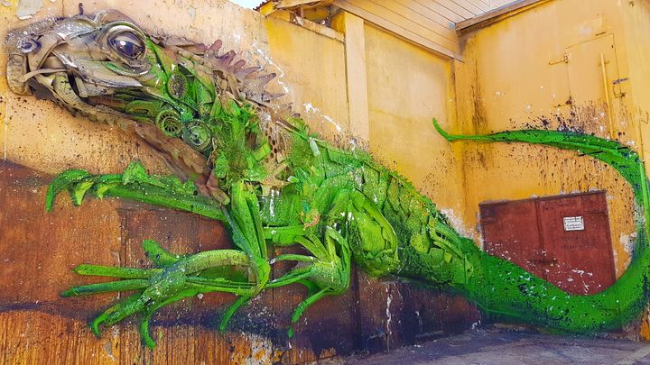 Aruba. Photograph by Richard Powell (9 of 14)