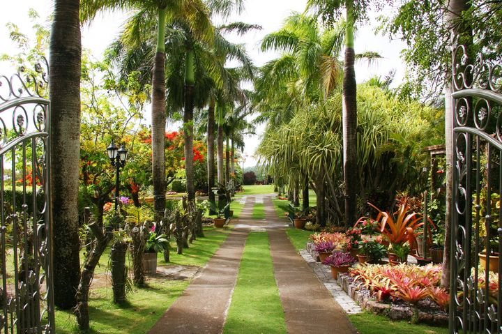 The Caribbean, 2013–2014. Photograph by Richard Powell – Nevis (38 of 94)