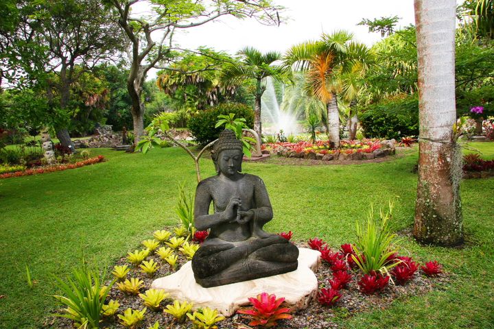 The Caribbean, 2013–2014. Photograph by Richard Powell – Nevis (41 of 94)
