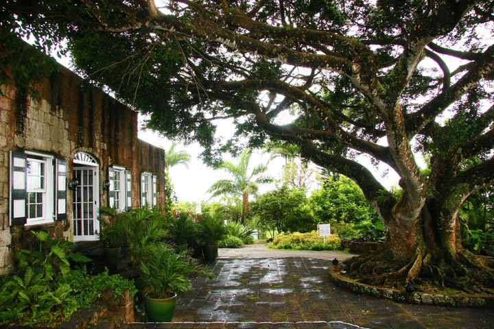 The Caribbean, 2013–2014. Photograph by Richard Powell – Nevis (43 of 94)