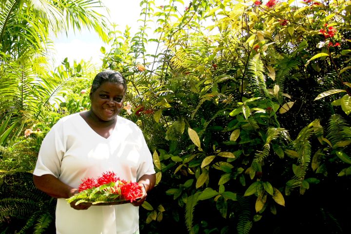 The Caribbean, 2013–2014. Photograph by Richard Powell – Nevis (44 of 94)