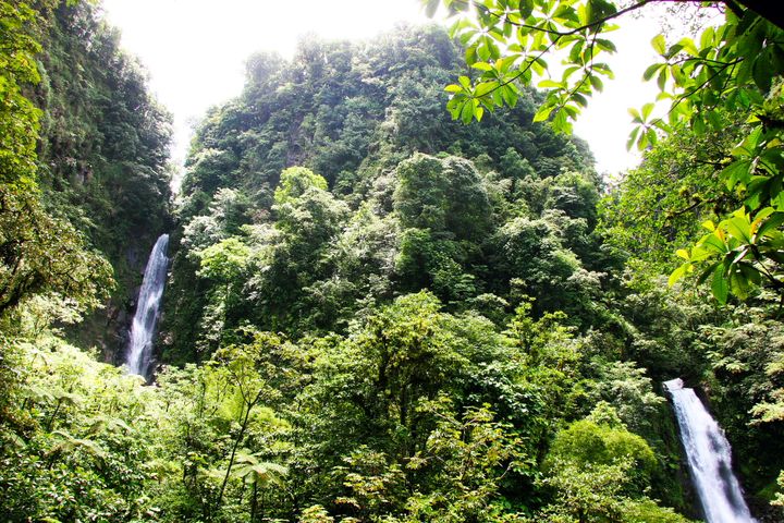 The Caribbean, 2013–2014. Photograph by Richard Powell – Dominica (51 of 94)