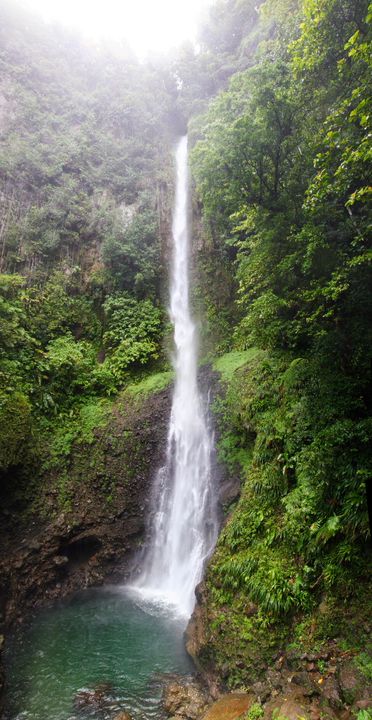 The Caribbean, 2013–2014. Photograph by Richard Powell – Dominica (53 of 94)