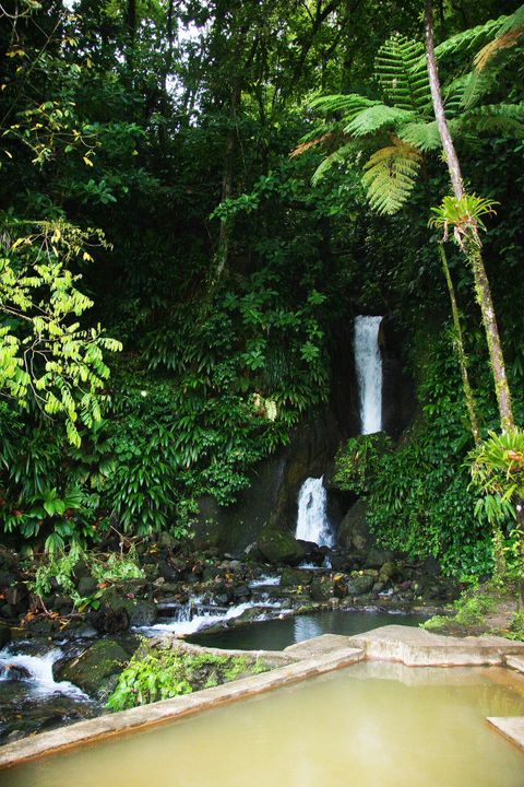 The Caribbean, 2013–2014. Photograph by Richard Powell – Dominica (55 of 94)