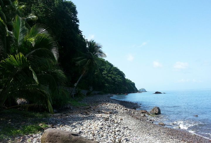 The Caribbean, 2013–2014. Photograph by Richard Powell – Dominica (56 of 94)