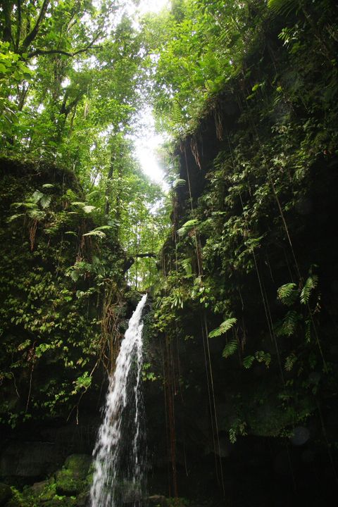 The Caribbean, 2013–2014. Photograph by Richard Powell – Dominica (68 of 94)