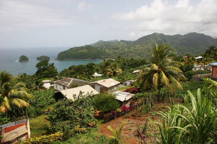 The Caribbean, 2013–2014. Photograph by Richard Powell – Dominica (71 of 94)