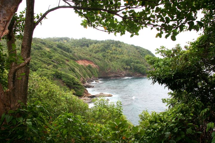 The Caribbean, 2013–2014. Photograph by Richard Powell – Dominica (75 of 94)