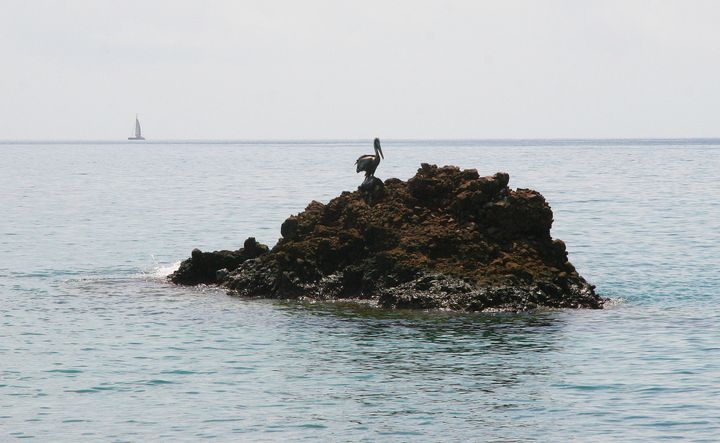 The Caribbean, 2013–2014. Photograph by Richard Powell – Dominica (82 of 94)
