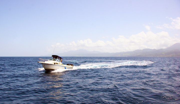 The Caribbean, 2013–2014. Photograph by Richard Powell – Dominica (87 of 94)