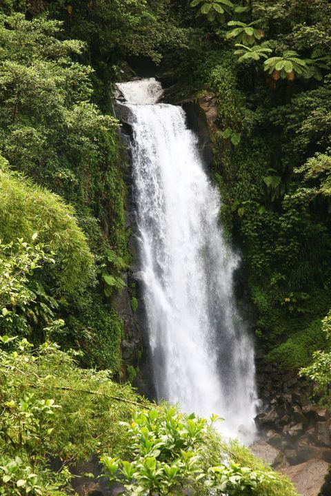 The Caribbean, 2013–2014. Photograph by Richard Powell – Dominica (89 of 94)