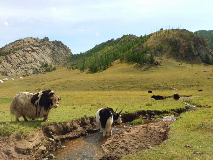 The Trans-Siberian, 2014. Photograph by Richard Powell (38 of 73)